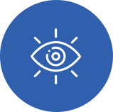 our vision icon